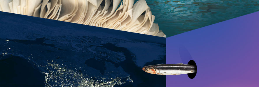 Le Stanze di Cinzia Ruggeri