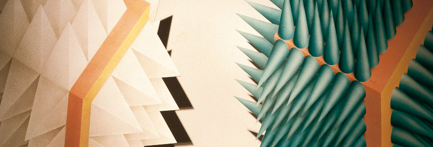 Disegni mostra, Dizign