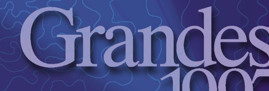 Grandesign DataBase interfaccia